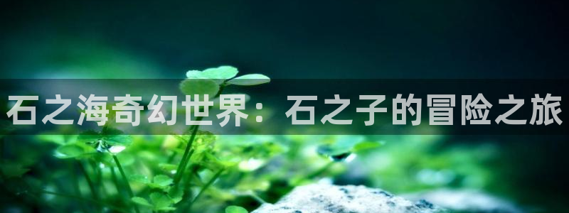 土豪漫画布丁漫画下拉式
